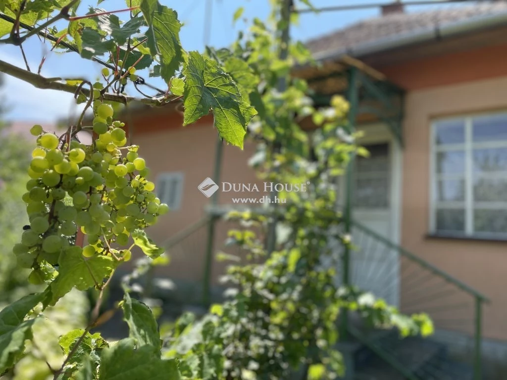 For sale house, Tiszavalk