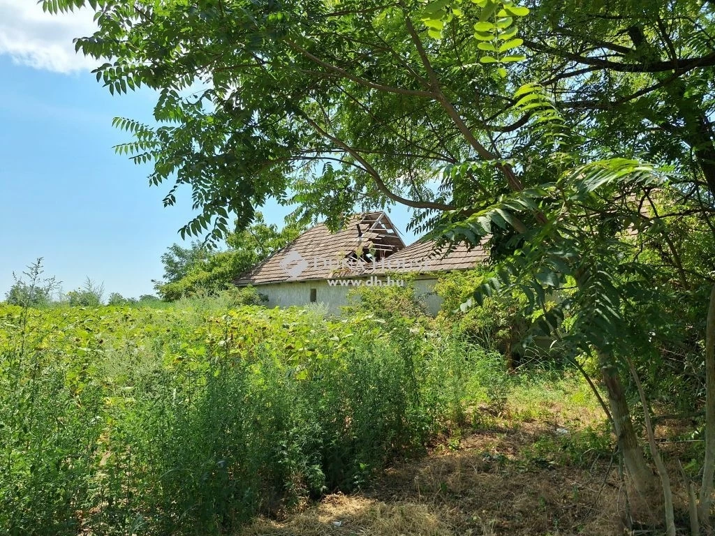 For sale building plot, Kisláng, Vörösmarty Mihály utca