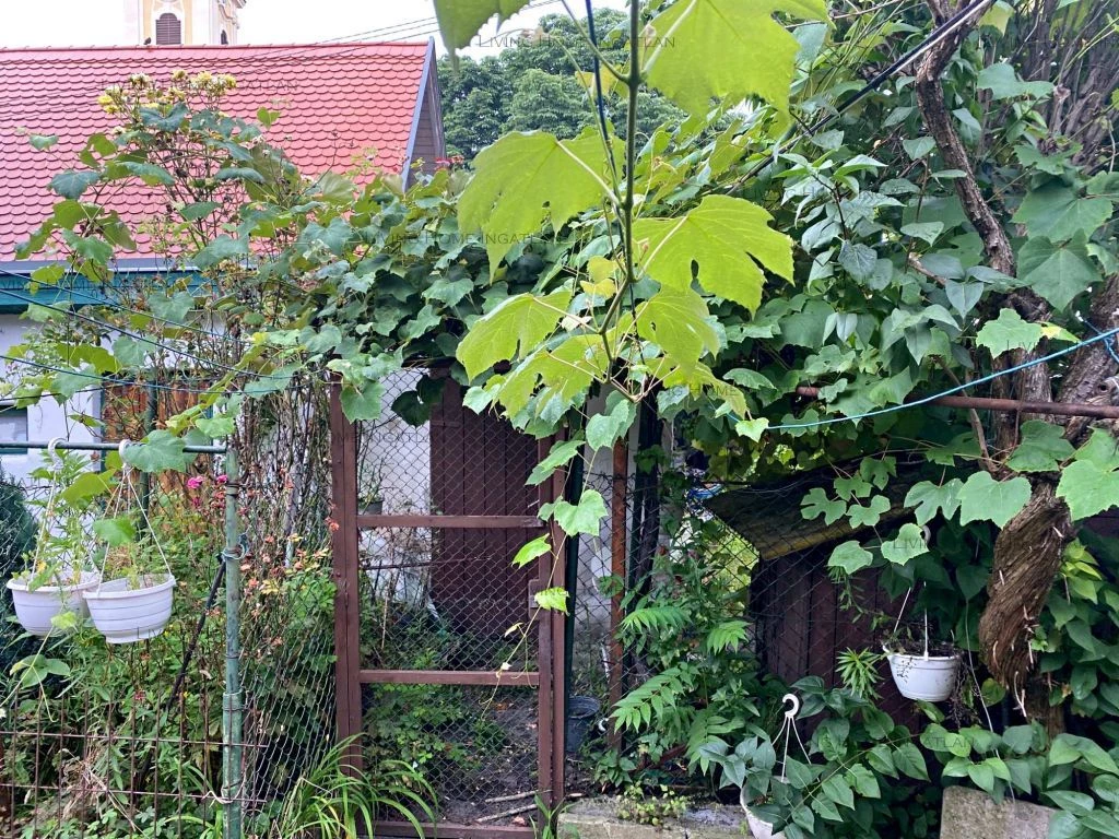 Szentendre belvárosában sorházi lakás eladó