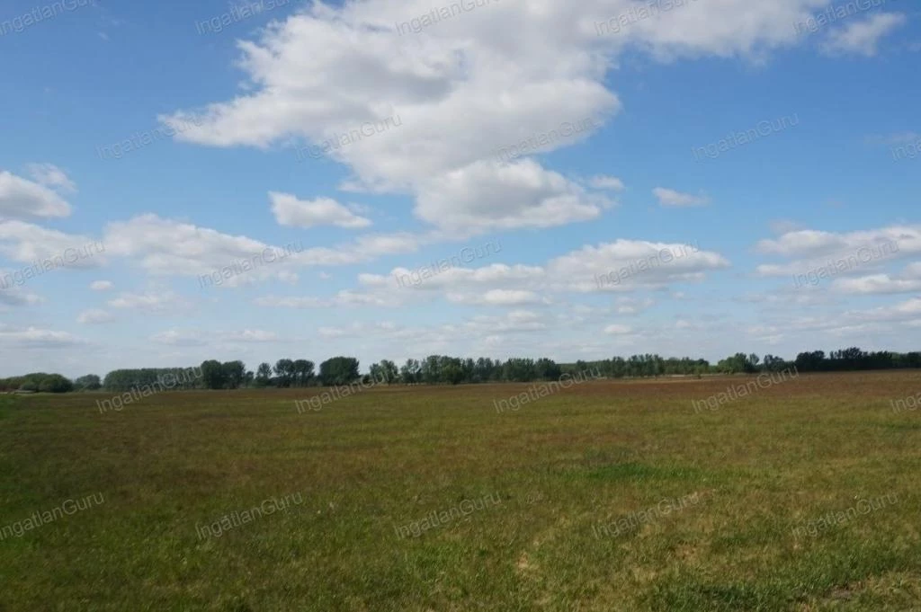 For sale plough-land, pasture, Nagykőrös